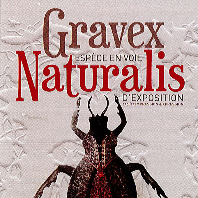 Gravex Naturalis